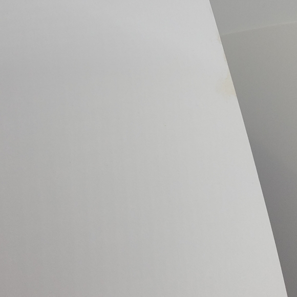 Paperback Book Interesting Facts For Curious Minds - Picture 9 of 10